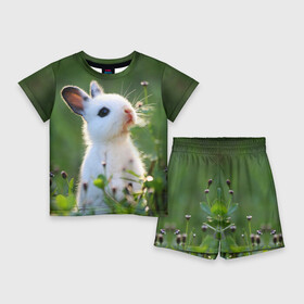 Детский костюм с шортами 3D с принтом Кролик ,  |  | animal | baby | cute | flowers | fluffy | hare | lawn | little | meadow | rabbit | животное | заяц | кролик | луг | лужайка | маленький | малыш | милый | пушистый | цветы