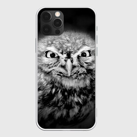 Чехол для iPhone 12 Pro Max с принтом Сова , Силикон |  | beak | bird | eyes | fear | hypnosis | look | night | owl | predator | взгляд | гипноз | глаза | клюв | ночь | птица | сова | хищник