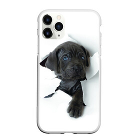 Чехол для iPhone 11 Pro матовый с принтом щенок Кане Корсо , Силикон |  | animal | black | break | breed | dog | kid | paper | puppy | tear | torn | дог | животное | малыш | порода | прорыв | разрыв | рваная | собака | черный | щенок