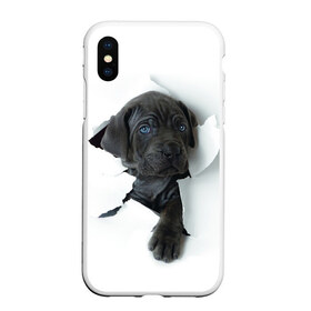 Чехол для iPhone XS Max матовый с принтом щенок Кане Корсо , Силикон | Область печати: задняя сторона чехла, без боковых панелей | animal | black | break | breed | dog | kid | paper | puppy | tear | torn | дог | животное | малыш | порода | прорыв | разрыв | рваная | собака | черный | щенок