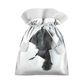 Подарочный 3D мешок с принтом щенок Кане Корсо , 100% полиэстер | Размер: 29*39 см | animal | black | break | breed | dog | kid | paper | puppy | tear | torn | дог | животное | малыш | порода | прорыв | разрыв | рваная | собака | черный | щенок