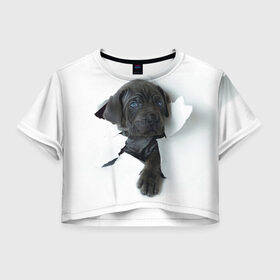 Женская футболка 3D укороченная с принтом щенок Кане Корсо , 100% полиэстер | круглая горловина, длина футболки до линии талии, рукава с отворотами | animal | black | break | breed | dog | kid | paper | puppy | tear | torn | дог | животное | малыш | порода | прорыв | разрыв | рваная | собака | черный | щенок
