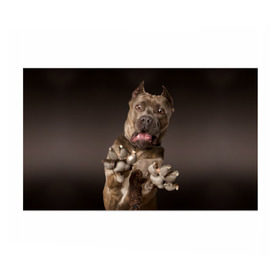Бумага для упаковки 3D с принтом Кане корсо , пластик и полированная сталь | круглая форма, металлическое крепление в виде кольца | Тематика изображения на принте: animal | breed | brown | dog | fear | jump | legs | throw | бросок | дог | животное | испуг | коричневый | лапы | порода | прыжок | собака