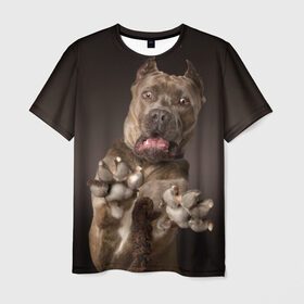 Мужская футболка 3D с принтом Кане корсо , 100% полиэфир | прямой крой, круглый вырез горловины, длина до линии бедер | Тематика изображения на принте: animal | breed | brown | dog | fear | jump | legs | throw | бросок | дог | животное | испуг | коричневый | лапы | порода | прыжок | собака