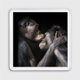 Магнит 55*55 с принтом Шимпанзе , Пластик | Размер: 65*65 мм; Размер печати: 55*55 мм | chimps | family | feelings | kiss | monkeys | primates | любовь | обезьяны | поцелуй | приматы | семья | чувства | шимпанзе