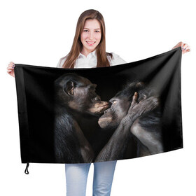 Флаг 3D с принтом Шимпанзе , 100% полиэстер | плотность ткани — 95 г/м2, размер — 67 х 109 см. Принт наносится с одной стороны | chimps | family | feelings | kiss | monkeys | primates | любовь | обезьяны | поцелуй | приматы | семья | чувства | шимпанзе