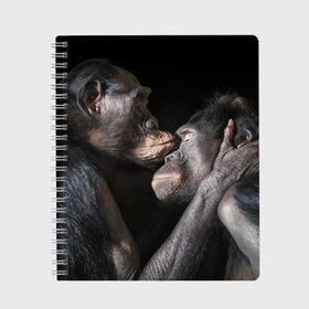 Тетрадь с принтом Шимпанзе , 100% бумага | 48 листов, плотность листов — 60 г/м2, плотность картонной обложки — 250 г/м2. Листы скреплены сбоку удобной пружинной спиралью. Уголки страниц и обложки скругленные. Цвет линий — светло-серый
 | chimps | family | feelings | kiss | monkeys | primates | любовь | обезьяны | поцелуй | приматы | семья | чувства | шимпанзе