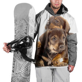 Накидка на куртку 3D с принтом Таксы , 100% полиэстер |  | brothers | dachshunds | kids | pets | puppies | small dogs | братья | животные | маленькие | малыши | собаки | таксы | щенки