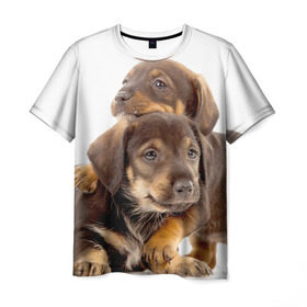 Мужская футболка 3D с принтом Таксы , 100% полиэфир | прямой крой, круглый вырез горловины, длина до линии бедер | brothers | dachshunds | kids | pets | puppies | small dogs | братья | животные | маленькие | малыши | собаки | таксы | щенки