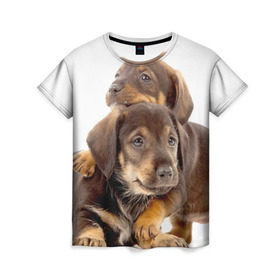 Женская футболка 3D с принтом Таксы , 100% полиэфир ( синтетическое хлопкоподобное полотно) | прямой крой, круглый вырез горловины, длина до линии бедер | brothers | dachshunds | kids | pets | puppies | small dogs | братья | животные | маленькие | малыши | собаки | таксы | щенки