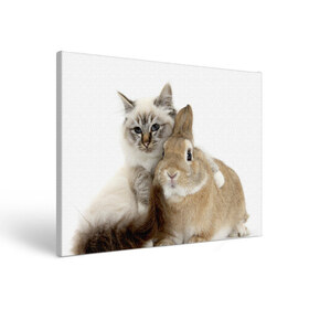Холст прямоугольный с принтом Кот и кролик , 100% ПВХ |  | Тематика изображения на принте: cat | cute | fluffy | friends | friendship | hug | kitty | rabbit | toddlers | дружба | друзья | кот | котенок | кролик | любовь | малыши | милые | обнимаются | пушистые