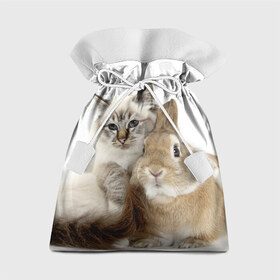 Подарочный 3D мешок с принтом Кот и кролик , 100% полиэстер | Размер: 29*39 см | cat | cute | fluffy | friends | friendship | hug | kitty | rabbit | toddlers | дружба | друзья | кот | котенок | кролик | любовь | малыши | милые | обнимаются | пушистые