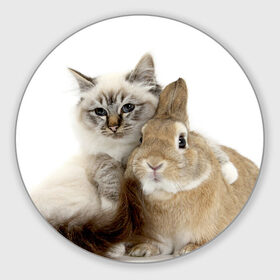 Коврик круглый с принтом Кот и кролик , резина и полиэстер | круглая форма, изображение наносится на всю лицевую часть | Тематика изображения на принте: cat | cute | fluffy | friends | friendship | hug | kitty | rabbit | toddlers | дружба | друзья | кот | котенок | кролик | любовь | малыши | милые | обнимаются | пушистые