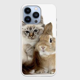 Чехол для iPhone 13 Pro с принтом Кот и кролик ,  |  | cat | cute | fluffy | friends | friendship | hug | kitty | rabbit | toddlers | дружба | друзья | кот | котенок | кролик | любовь | малыши | милые | обнимаются | пушистые