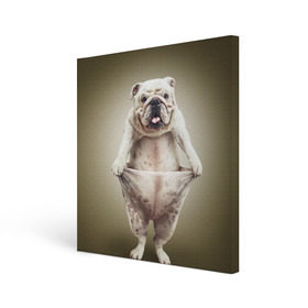 Холст квадратный с принтом Бульдог английский , 100% ПВХ |  | animals | breed | dog | english bulldog | funny | joke | pants | surrealism | бульдог английский | животное | порода | прикол | собака | сюрреализм | шутка