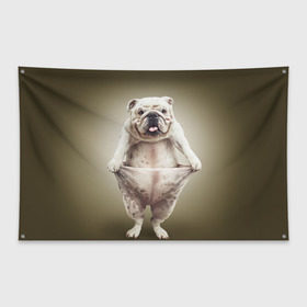 Флаг-баннер с принтом Бульдог английский , 100% полиэстер | размер 67 х 109 см, плотность ткани — 95 г/м2; по краям флага есть четыре люверса для крепления | animals | breed | dog | english bulldog | funny | joke | pants | surrealism | бульдог английский | животное | порода | прикол | собака | сюрреализм | шутка