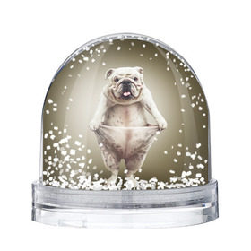 Снежный шар с принтом Бульдог английский , Пластик | Изображение внутри шара печатается на глянцевой фотобумаге с двух сторон | animals | breed | dog | english bulldog | funny | joke | pants | surrealism | бульдог английский | животное | порода | прикол | собака | сюрреализм | шутка