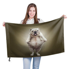 Флаг 3D с принтом Бульдог английский , 100% полиэстер | плотность ткани — 95 г/м2, размер — 67 х 109 см. Принт наносится с одной стороны | animals | breed | dog | english bulldog | funny | joke | pants | surrealism | бульдог английский | животное | порода | прикол | собака | сюрреализм | шутка