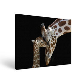 Холст прямоугольный с принтом Жирафы , 100% ПВХ |  | africa | animals | baby | child | family | giraffes | head | mother | африка | головы | животные | жирафы | любовь | малыш | мама | ребенок | семья