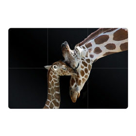 Магнитный плакат 3Х2 с принтом Жирафы , Полимерный материал с магнитным слоем | 6 деталей размером 9*9 см | Тематика изображения на принте: africa | animals | baby | child | family | giraffes | head | mother | африка | головы | животные | жирафы | любовь | малыш | мама | ребенок | семья