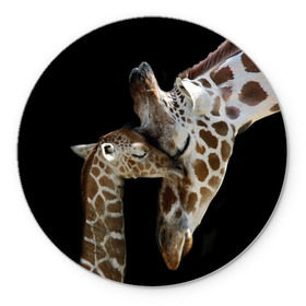 Коврик круглый с принтом Жирафы , резина и полиэстер | круглая форма, изображение наносится на всю лицевую часть | africa | animals | baby | child | family | giraffes | head | mother | африка | головы | животные | жирафы | любовь | малыш | мама | ребенок | семья
