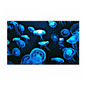 Бумага для упаковки 3D с принтом Meduse , пластик и полированная сталь | круглая форма, металлическое крепление в виде кольца | вода | медузы | море | морские | океан
