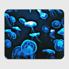 Коврик прямоугольный с принтом Meduse , натуральный каучук | размер 230 х 185 мм; запечатка лицевой стороны | Тематика изображения на принте: вода | медузы | море | морские | океан