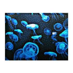 Обложка для студенческого билета с принтом Meduse , натуральная кожа | Размер: 11*8 см; Печать на всей внешней стороне | вода | медузы | море | морские | океан