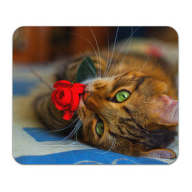 Коврик прямоугольный с принтом Кошечка , натуральный каучук | размер 230 х 185 мм; запечатка лицевой стороны | Тематика изображения на принте: животные | кот | кошка | милая