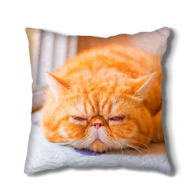 Подушка 3D с принтом Рыжий кот , наволочка – 100% полиэстер, наполнитель – холлофайбер (легкий наполнитель, не вызывает аллергию). | состоит из подушки и наволочки. Наволочка на молнии, легко снимается для стирки | Тематика изображения на принте: кот | кошка | милая | рыжий