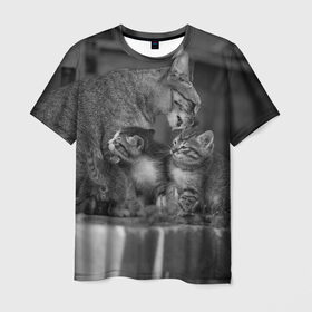 Мужская футболка 3D с принтом Котята , 100% полиэфир | прямой крой, круглый вырез горловины, длина до линии бедер | животные | кот | кошка | милая