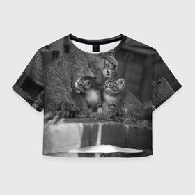 Женская футболка 3D укороченная с принтом Котята , 100% полиэстер | круглая горловина, длина футболки до линии талии, рукава с отворотами | животные | кот | кошка | милая
