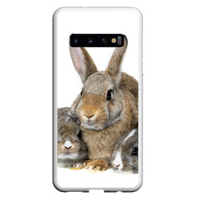 Чехол для Samsung Galaxy S10 с принтом Кролики , Силикон | Область печати: задняя сторона чехла, без боковых панелей | Тематика изображения на принте: animals | bunnies | cute | eared | family | fluffy | kids | mom | rabbits | животные | зайцы | кролики | малыши | мама | милые | пушистые | семья | ушастые