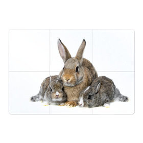 Магнитный плакат 3Х2 с принтом Кролики , Полимерный материал с магнитным слоем | 6 деталей размером 9*9 см | Тематика изображения на принте: animals | bunnies | cute | eared | family | fluffy | kids | mom | rabbits | животные | зайцы | кролики | малыши | мама | милые | пушистые | семья | ушастые