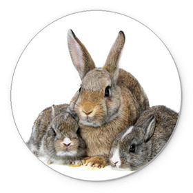 Коврик круглый с принтом Кролики , резина и полиэстер | круглая форма, изображение наносится на всю лицевую часть | animals | bunnies | cute | eared | family | fluffy | kids | mom | rabbits | животные | зайцы | кролики | малыши | мама | милые | пушистые | семья | ушастые