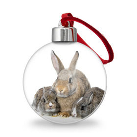 Ёлочный шар с принтом Кролики , Пластик | Диаметр: 77 мм | animals | bunnies | cute | eared | family | fluffy | kids | mom | rabbits | животные | зайцы | кролики | малыши | мама | милые | пушистые | семья | ушастые