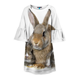 Детское платье 3D с принтом Кролики , 100% полиэстер | прямой силуэт, чуть расширенный к низу. Круглая горловина, на рукавах — воланы | animals | bunnies | cute | eared | family | fluffy | kids | mom | rabbits | животные | зайцы | кролики | малыши | мама | милые | пушистые | семья | ушастые