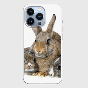 Чехол для iPhone 13 Pro с принтом Кролики ,  |  | animals | bunnies | cute | eared | family | fluffy | kids | mom | rabbits | животные | зайцы | кролики | малыши | мама | милые | пушистые | семья | ушастые