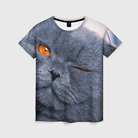 Женская футболка 3D с принтом Кот , 100% полиэфир ( синтетическое хлопкоподобное полотно) | прямой крой, круглый вырез горловины, длина до линии бедер | британский | взгляд | глаза | животные | кот