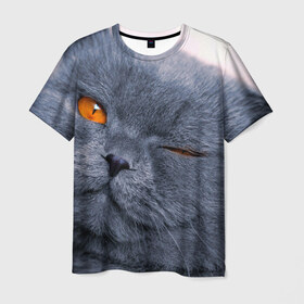 Мужская футболка 3D с принтом Кот , 100% полиэфир | прямой крой, круглый вырез горловины, длина до линии бедер | британский | взгляд | глаза | животные | кот