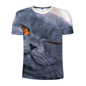 Мужская футболка 3D спортивная с принтом Кот , 100% полиэстер с улучшенными характеристиками | приталенный силуэт, круглая горловина, широкие плечи, сужается к линии бедра | британский | взгляд | глаза | животные | кот