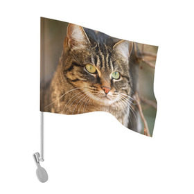 Флаг для автомобиля с принтом Кот , 100% полиэстер | Размер: 30*21 см | animal | cat | eyes | face | head | kote | mustache | pet | взгляд | глаза | голова | домашнее | животное | кот | котэ | кошка | усы