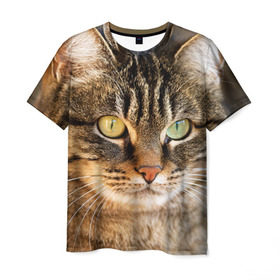 Мужская футболка 3D с принтом Кот , 100% полиэфир | прямой крой, круглый вырез горловины, длина до линии бедер | animal | cat | eyes | face | head | kote | mustache | pet | взгляд | глаза | голова | домашнее | животное | кот | котэ | кошка | усы