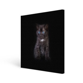 Холст квадратный с принтом Чёрный котёнок , 100% ПВХ |  | киска | кот | кошка