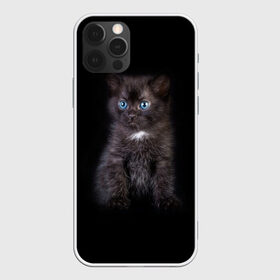 Чехол для iPhone 12 Pro Max с принтом Чёрный котёнок , Силикон |  | Тематика изображения на принте: киска | кот | кошка
