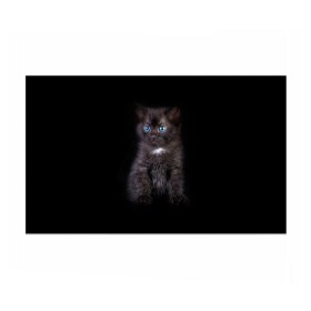 Бумага для упаковки 3D с принтом Чёрный котёнок , пластик и полированная сталь | круглая форма, металлическое крепление в виде кольца | Тематика изображения на принте: киска | кот | кошка