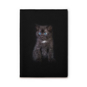 Обложка для автодокументов с принтом Чёрный котёнок , натуральная кожа |  размер 19,9*13 см; внутри 4 больших “конверта” для документов и один маленький отдел — туда идеально встанут права | Тематика изображения на принте: киска | кот | кошка