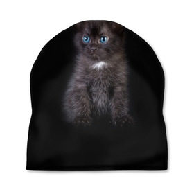 Шапка 3D с принтом Чёрный котёнок , 100% полиэстер | универсальный размер, печать по всей поверхности изделия | киска | кот | кошка