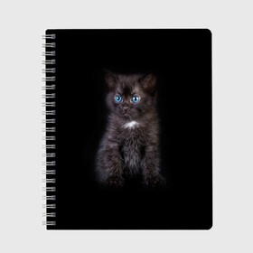Тетрадь с принтом Чёрный котёнок , 100% бумага | 48 листов, плотность листов — 60 г/м2, плотность картонной обложки — 250 г/м2. Листы скреплены сбоку удобной пружинной спиралью. Уголки страниц и обложки скругленные. Цвет линий — светло-серый
 | киска | кот | кошка