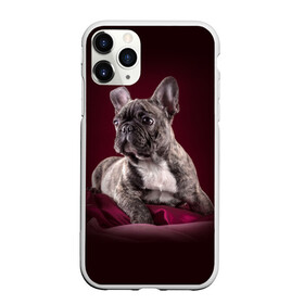 Чехол для iPhone 11 Pro матовый с принтом Бульдог , Силикон |  | бульдог | кутёнок | прикольные картинки | собака | щенок